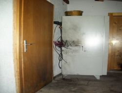 Avusturya’da Camiye Molotof Kokteylli Saldırı