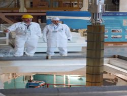 Buşehir'de Çernobil İddiasına Rosatom'dan Cevap; Herhangi Bir Virüs Yok