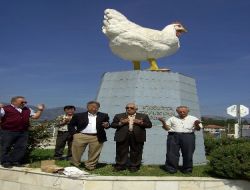 Mudurnu Tavukçuluk'un Sloganı Değişti