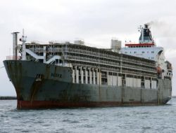 Ebk, Et Fiyatlarını Düşürmek İçin Canlı Hayvan İthalatına Devam Ediyor!!