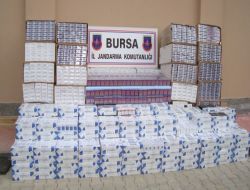 Bursa'da 22 Bin 500 Paket Kaçak Sigara Ele Geçirildi!