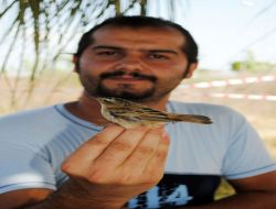 Prof. Erdoğan: Ornito Ve Eko Turizmin Yolu Sulak Alanları Korumadan Geçer