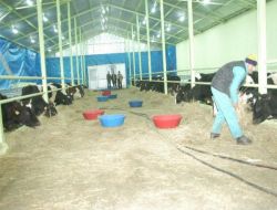 Hizan Ekonomisi Tarım Ve Hayvancılık İle Gelişecek