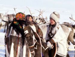 Geyik Muhabbetinden Modern Yaşamı Reddediyorlar