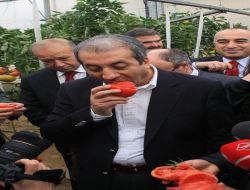 Bakan Eker: Tarım Destekleme Primleri 25 Ocak’ta Ödenmeye Başlanacak!