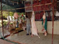 Zabıta, 70 Kilo Kaçak Ete Elkoydu!