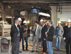 Mersin Bölgesinde Orman Ürünlerine Talep Arttı