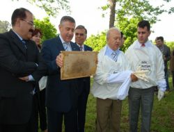 Hem Narenciye Balını Hem De Adana’yı Tanıtıyorlar