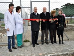 Tbmm Üstün Hizmet Ödüllü Hayırsever Hayvanlara Gezinti Alanı Yaptırdı