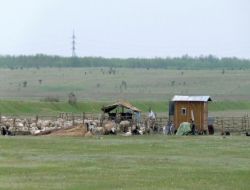 Romanya'da Toprağını Nadasa Bırakanlara Ceza Verilecek!