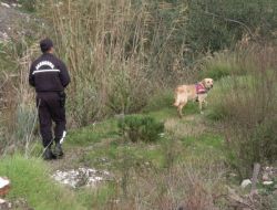 Kayıp Öğretmeni Bulmak İçin Kokuya Duyarlı Köpekler Devreye Girdi