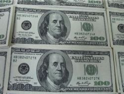 Hatay’da 47 Bin 100 Adet Sahte Dolar Ele Geçirildi!