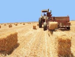 Vanlı Samancılar Dertli