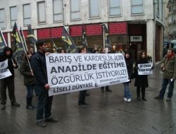 Liseliler Ana Dilde Eğitim İstedi