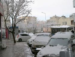 Siirt'te Yılın İl Karı Yağdı