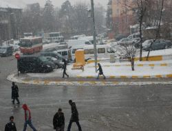 Muş’ta 9 Belde, 130 Köy Yolu Ulaşıma Kapalı