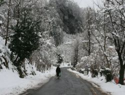 Giresun'da Kar Yağışı Etkili Oluyor