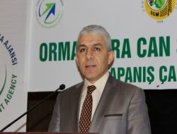Orman Yangınları Can Suyu İle Söndürülecek