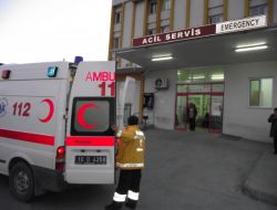 Zeytin İşçilerini Taşıyan Kamyonet Devrildi: 11 Yaralı!