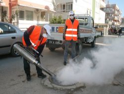 Sineksiz Bir Yaz İçin Akçay’da İlaçlama Başladı