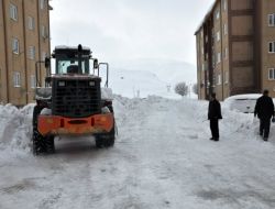 Bitlis'te Kar Temizleme Çalışmaları