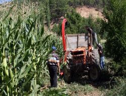 Muğla'da Çiftçilere Uygulamalı Mısır Silajı Tanıtımı