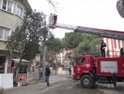 Edremit'te Mobese'li Hayat Başlıyor