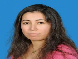 Emekli Polis, Parasını Kaptırdığı İddiasıyla Bir Kadını Sokak Ortasında Öldürdü