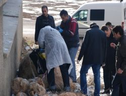 Kayalıkların Arasına Terk Edilen Bebek Ölü Bulundu