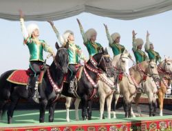 Türkmen Ahal-teke Atları Güzellik İçin Yarışacak
