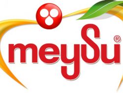 Meysu, Çin Ve Libya'da İhracat Rekoru Kırıyor!