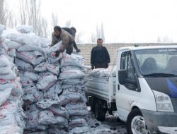 Patnos'ta Yardım Kömürleri Adrese Teslim Ediliyor