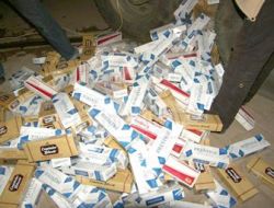 Nallıhan'da Kaçak Sigara ve Uyuşturucu Operasyonu