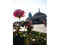 Mevlana Müzesi’nin Sembolü Yeşil Kubbe Tadilata Alınacak