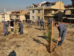 Fabrika Çalışanları Fidan Dikti