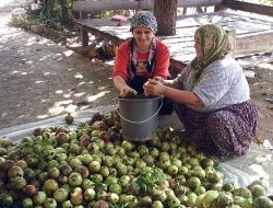 Her Derde Deva Nar Ekşisinin Yapımı Başladı