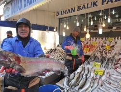 Türkiye'de 8 Kilogram Olan Balık Tüketimi Ankara'da 2 Kilogramda Kaldı