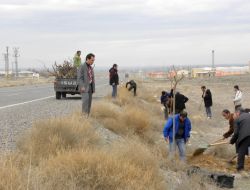 Iğdır’da, 2011 Yılında 450 Bin Fidan Dikilecek