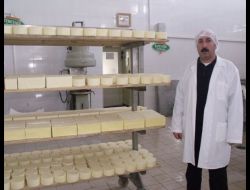 Yüksekova’nın Tek Süt Fabrikası 2010’da İhracat Rekoru Kırdı