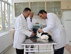 Hayvan Hastanesi, Yenilenen Binasıyla Hizmete Açıldı