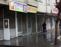 Öcalan İçin Toplanan 100 Kişilik Gruba Polis Müdahale Etti