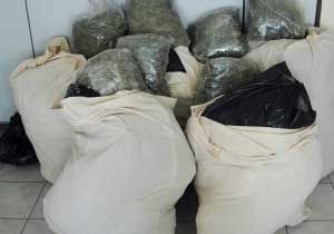 35 kilo esrar ele geçirildi!