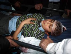 Terör Örgütü Yandaşları