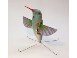 Askeri Operasyonlar İçin Robot ‘Casus Kuş’