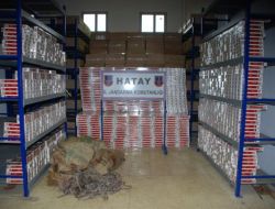 Türkiye-Suriye Arasındaki Tampon Bölgede Kaçak Sigara Operasyonu