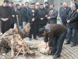 Vezirköprü Sakarya Dershanesi'nden Tam Teşekküllü Dershane Atağı