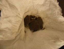 Edremit’te Uyuşturucu Operasyonu: 3 Kişi Tutuklandı!