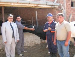 Ereğli’de İlkbahar Dönemi Şap Aşı Kampanyası Başladı