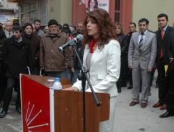 Dila Boztepe, Chp'den Milletvekili Aday Adayı Oldu