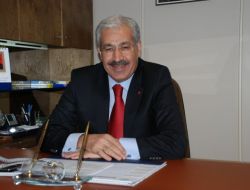 Ak Partili Dinçer, Vanlıların Selamını Amerikalılara Götürdü